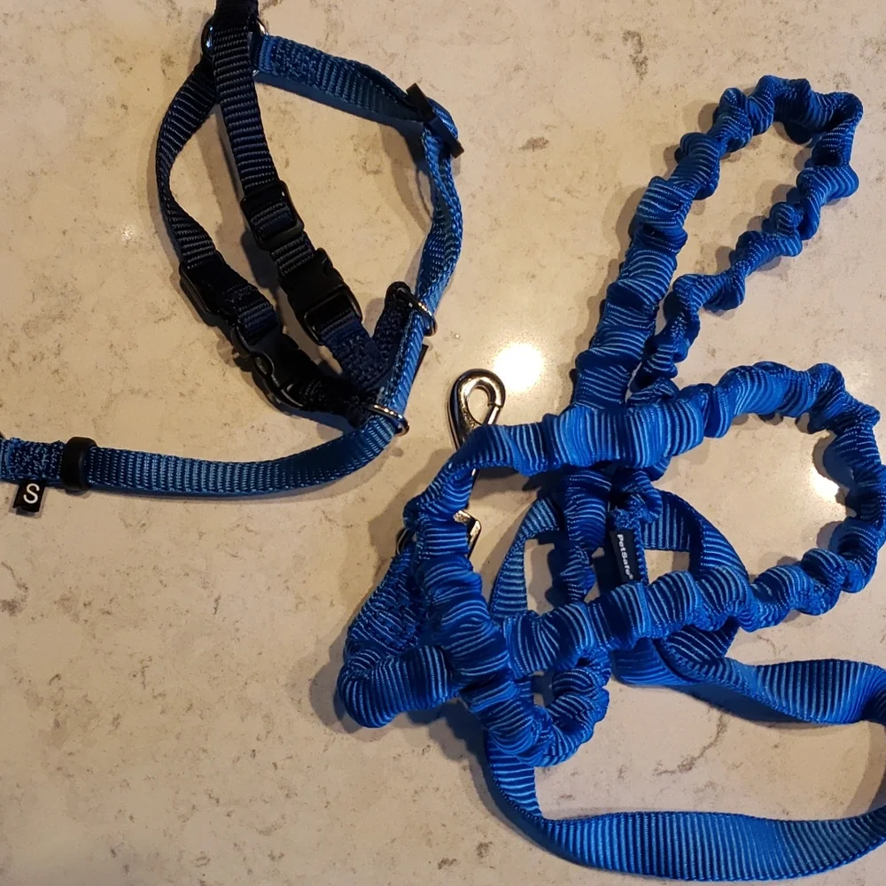 Kitten Harness